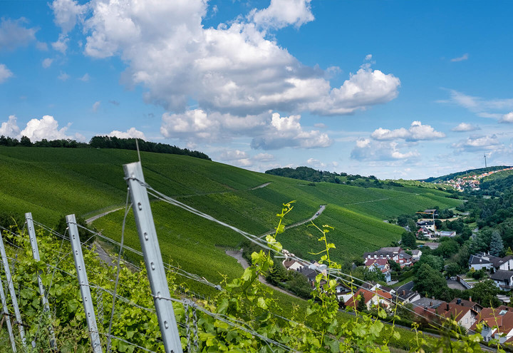 Weingut-Am-Marsberg-Schmachtenberger-Beste-Lage-2021